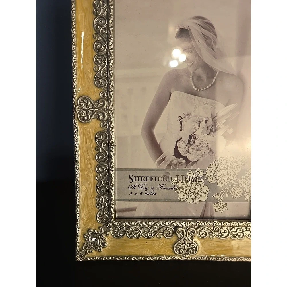Sheffield Home Jewel‎ Collection Picture Frame 4